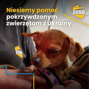 Pomagamy pupilom z Ukrainy